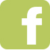 facebook_bug